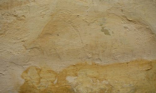 Jak pozbyć się wilgoci z domu?