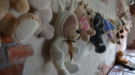 Stwórz swojego misia i wygraj wyjazd do Disneylandu! LIFESTYLE, Dziecko - Miś pełni w życiu każdego dziecka bardzo ważną rolę – zabawki, przytulanki, a niekiedy nawet przyjaciela.