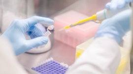 Dziecko sławnego piłkarza gwiazdą murawy? Odpowiedź jest zapisana w genach! LIFESTYLE, Dziecko - Narodziny pociech sławnych rodziców zawsze wiążą się z ogromnym zainteresowaniem. Opinia publiczna zastanawia się czy dziecko w przyszłości pójdzie w ślady mamy czy taty i będzie odnosić podobne sukcesy. Podpowiedzi mogą udzielić badania genetyczne.