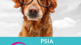 Psia Edukacja w Galerii SFERA LIFESTYLE, Dziecko - Po raz kolejny wracamy z lubianą i docenianą przez naszych klientów akcją Psiej Edukacji.