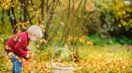 Jesienne sposoby na spędzenie czasu z dzieckiem LIFESTYLE, Dziecko - Polska jesień potrafi mile zaskoczyć i być naprawdę piękna! Wówczas każdą chwilę warto spędzić na świeżym powietrzu. Zabawy w parku, gdy na ziemi pełno różnokolorowych liści z pewnością są atrakcją dla naszych pociech.