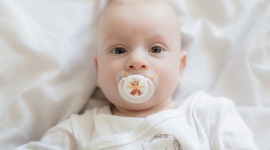 Międzynarodowy Dzień Kubusia Puchatka LIFESTYLE, Dziecko - 5 Powodów za co dzieci i dorośli go kochają.