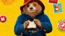 Tego misia uwielbiają wszyscy. W sobotę przyjedzie do Wrocławia LIFESTYLE, Dziecko - Popularny miś Paddington 24 lutego przyjedzie do Magnolia Park. Bohater lubianych książek i filmów zaprosi na wycieczkę po Londynie, poczęstuje uczestników kanapką z marmoladą, a także nauczy ich angielskiego. Nie zabraknie konkursów z nagrodami.