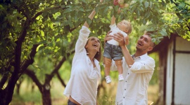 Nowe produkty z farmy Pana Organica! LIFESTYLE, Dziecko - Rodzice, którzy szukają dla swojego dziecka żywności ekologicznej, mają powody do radości - rodzina Gerber Organic powiększa się o 3 kaszki i 4 mleczne deserki. Pomogą one w urozmaicaniu jadłospisu malucha oraz ułatwią rodzicom dostęp do organicznych produktów dla dzieci.