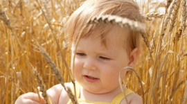 Czy Twój maluszek zna już skarby ukryte w zbożach? LIFESTYLE, Dziecko - Produkty zbożowe są jednym z podstawowych elementów diety. Razem z warzywami i owocami powinny stanowić podstawę jadłospisu Polaków. Dlaczego? Bo w niepozornych ziarenkach kryją się prawdziwe skarby! Korzystać z nich mogą także najmłodsi – poznaj kaszki Skarby Zbóż.