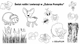Co jada dzik? - jak filmy animowane wspierają edukację najmłodszych LIFESTYLE, Dziecko - Dzieci szybciej przyswajają różnego rodzaju informacje, kiedy angażują wszystkie swoje zmysły. W bardziej przystępnym przekazywaniu wiedzy przedszkolakom bądź uczniom klas I-III może pomóc film – często wartościowe źródło np. ciekawostek przyrodniczych.