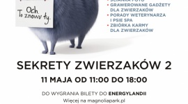 Sekretne zwierzaki przyjeżdżają do Wrocławia LIFESTYLE, Dziecko - Zwierzaki domowe znane z komedii animowanej, która podbiła świat, ruszyły w trasę po Polsce. Już za kilka dni spotkają się z fanami we wrocławskiej Magnolia Park. Wydarzenie „Sekrety zwierzaków 2” to mnóstwo atrakcji.