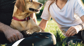 Rozmowy z dziećmi o dojrzewaniu – rola ojca LIFESTYLE, Dziecko - Wydawać by się mogło, że w dzisiejszych czasach potrafimy rozmawiać o wszystkim, jednak nadal tematyka dojrzewania wywołuje poczucie zakłopotania u rodziców, niezależnie od płci.