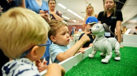 Niech robot zaparzy Ci kawę! LIFESTYLE, Dziecko - Podpowiedzą przepis na dobre domowe ciasto, posprzątają mieszkanie, umyją okna a nawet zaparzą kawę! Nowoczesne roboty z całego świata oraz ich niesamowite umiejętności oglądać można na interaktywnej wystawie, która do 11 sierpnia trwa w Porcie Łódź.