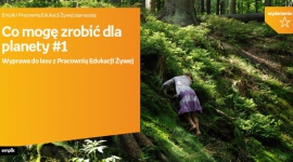 Poznaj tajemnice lasu z Empikiem LIFESTYLE, Dziecko - Zapraszamy rodziny z dziećmi w wieku od 3 do 10 lat (starsze i młodsze rodzeństwo jest również mile widziane) na dwugodzinną wyprawę do lasu murckowskiego. Wyprawa odbędzie się 6 października o godzinie 10.00.