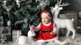 Niepowtarzalny smak pierwszych świąt LIFESTYLE, Dziecko - Kiedy maluszek przychodzi na świat, Boże Narodzenie nabiera dodatkowej magii. To dobra okazja, aby zwrócić uwagę na przekazywane dziecku nawyki żywieniowe i w mądry sposób zapoznawać malucha ze świątecznym menu, dopasowanym do jego potrzeb i etapu rozwoju.