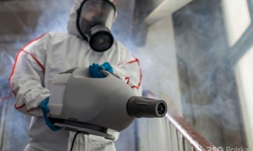 Lato w mieście – jak zadbać o odkażenie miejsc, w których przebywają dzieci?