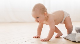 Bebilon 2 BIO – dobro natury połączone z osiągnięciami nauki LIFESTYLE, Dziecko - To łagodna formuła BIO z najwyższej jakości składnikami z certyfikowanych hodowli i upraw w rolnictwie ekologicznym