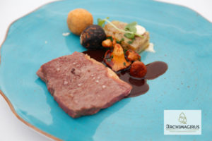 Fot.Archimagirus_dania_zwycieskiej_druzyny_2 Poznaliśmy drugiego Archimagirusa